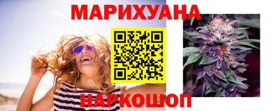дмт Кингисепп