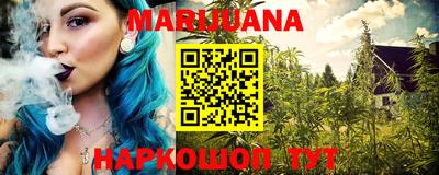 дмт Кингисепп