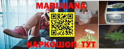 гидра Кимры