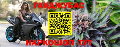 дмт Кингисепп