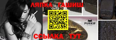 дмт Кингисепп