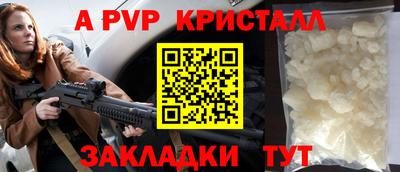 дмт Кингисепп