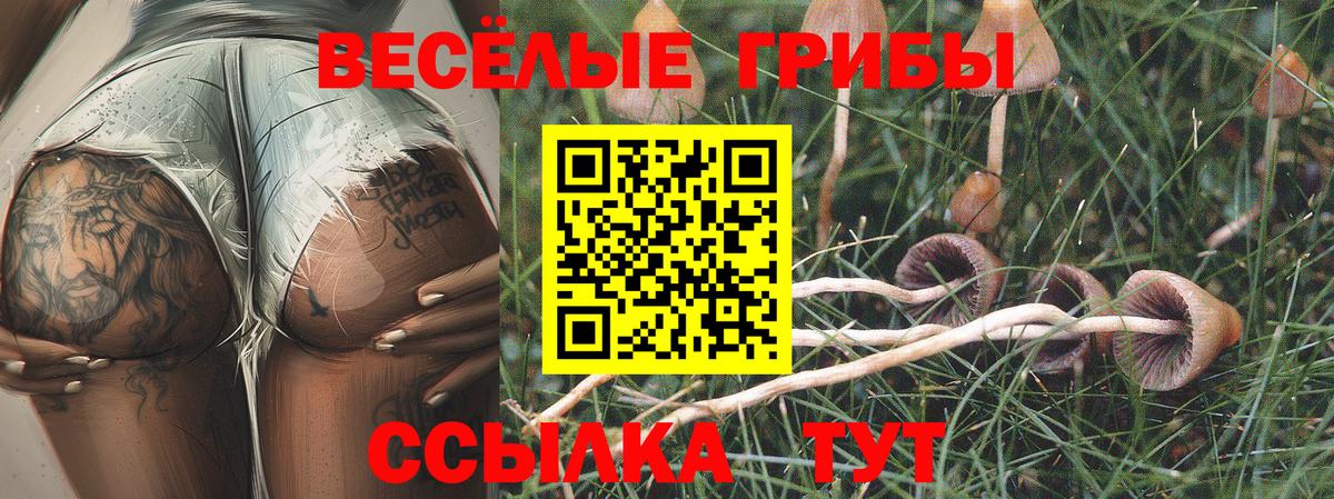 Галлюциногенные грибы прущие грибы  Вход с VPN  Балашов 