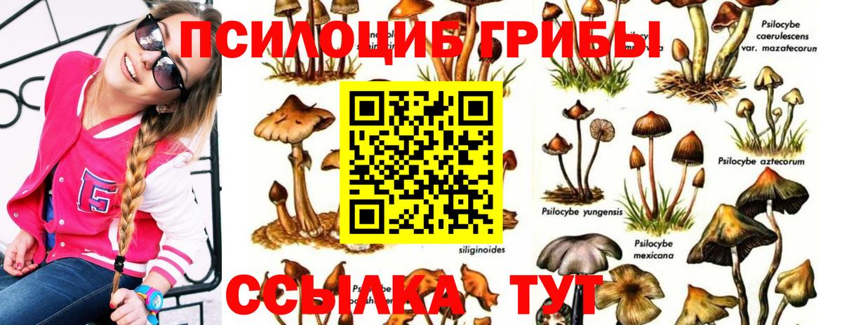 Псилоцибиновые грибы Magic Shrooms Балашов